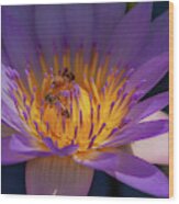 Purple Pollinators Wood Print