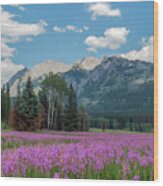 Purple Vetch And Mountains Wood Print