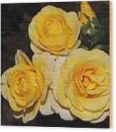 Quartet Of Fragrant Yellow Roses Wood Print