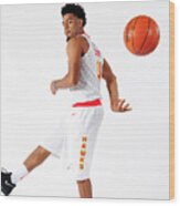 Quinn Cook Wood Print