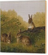 Rabbits On A Log 1897 Arthur Fitzwilliam Tait American, Born England Wood Print
