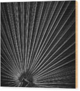 Radiating Lines - Vertical Wood Print