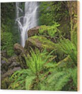 Rain Forest Waterfall Wood Print