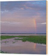 Rainbow Reflection Over Lake Toho Wood Print