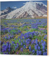 Rainier Lupines Wood Print