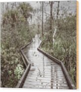 Rainy Reflections On The Boardwalk Trail In Soft Tones Wood Print