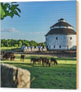 Ranck Round Barn And Cows Wood Print