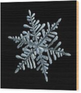Real Snowflake 2018-12-18_6b Wood Print