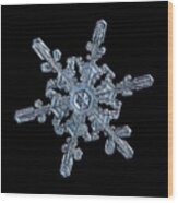 Real Snowflake 2021-01-14_4416-25b Wood Print