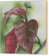 Red Autumn Dogwood Leaves With Bud Wood Print