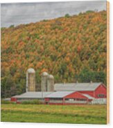 Red Barns In Autumn Wood Print