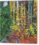 Red Bicycle On Autumn's Path Wood Print