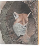 Red Fox In Hollow Log Wood Print