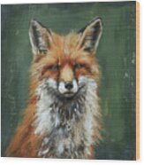 Red Fox Portrait Wood Print