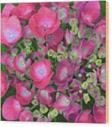 Red Hydrangea Flowerhead Wood Print