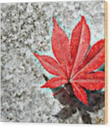 Red Maple on Marble Wood Print
