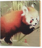 Red Panda Wood Print