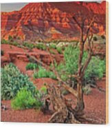 Red Rock Butte And Juniper Snag Paria Canyon Utah Wood Print