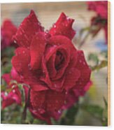 Red Rose And Sparkling Water Pearls By The Pool Wood Print