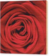 Red Rose Wood Print