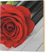Red Rose On Piano Keys Wood Print