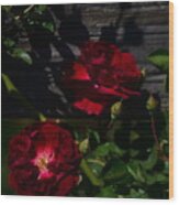 Red Roses Wood Print