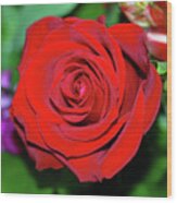 Red Velvet Rose Wood Print