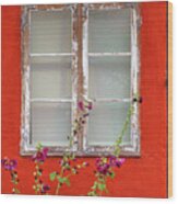 Red Wall With Hollyhocks Wood Print