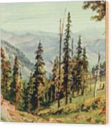 Redwoods Of Great Twin Valleys, California 1914 Wood Print
