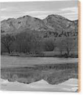 Reflections In Icy Waters Bw Wood Print