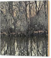 Reflecting Abstract Wood Print