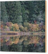 Reflections In Rolley Lake Provincial Park Wood Print