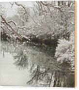 Reflections Of Early Spring Snow In Portrait Wood Print