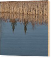 Reflections On A Wetland Lake Wood Print