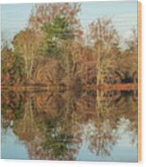 Reflections On Batsto Lake Wood Print