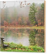 Relaxing Autumn Beauty Landscape Wood Print