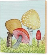 Retro Mushrooms 1 Wood Print