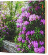 Rhododendron In Blowing Rock Wood Print