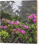 Rhododendrons In Bloom Wood Print