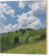 Rhodope Mountain Village Layers - Wildflower Meadows Green Hillsides And Fab Clouds Wood Print