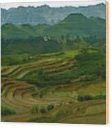 Rice Fields And Mountains, Vietnam Wood Print