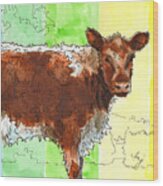 Riggit Galloway Cow Painting Brown And White Calf Wood Print