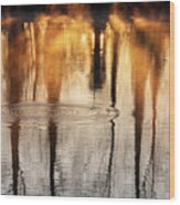 Ripples Rays Of Light And Reflections Wood Print