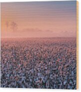Rising Sun Over Cotton Plantation In Tennessee Panorama Wood Print
