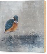 River Kingfisher In Winter Wood Print