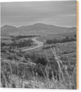 Road To Mount Mckinley Wood Print