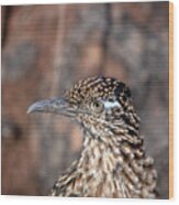 Roadrunner Close Up Two Wood Print