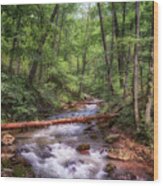Roaring Run Creek - Eagle Rock Virginia Wood Print