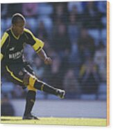 Robert Earnshaw Of Cardiff Scores Penalty Wood Print