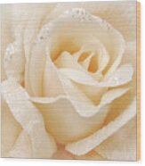 Rose Fabric Beige Texture Wood Print